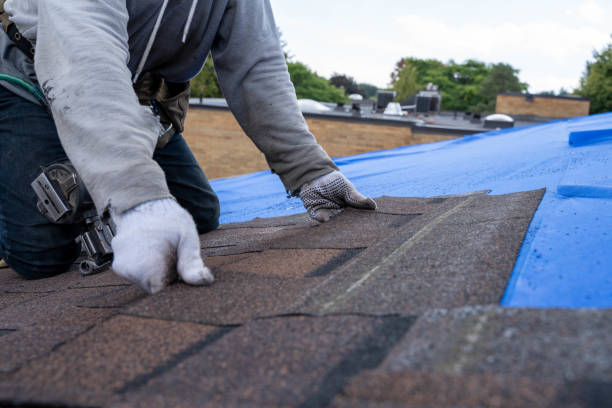 Roof Gutter Cleaning in Andrews, TX
