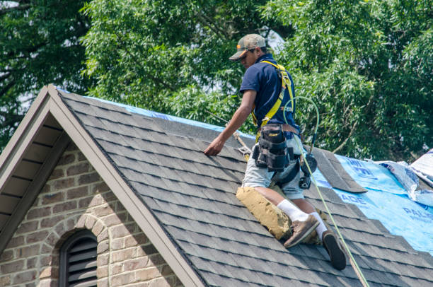 Quick and Trustworthy Emergency Roof Repair Services in Andrews, TX
